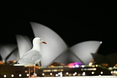 Australian Made/Grown logos part 2: Digital age calls for new marketing