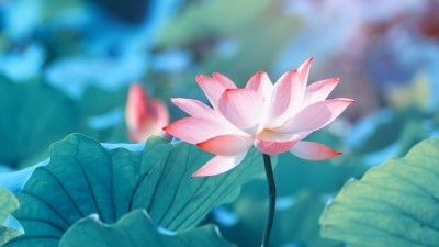 Beauty brands can tap into China's local heritage to connect with the locals. GettyImages