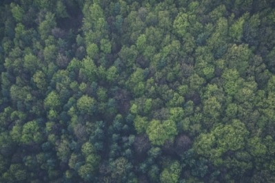 Kao supports FSC with sustainable materials pledge 