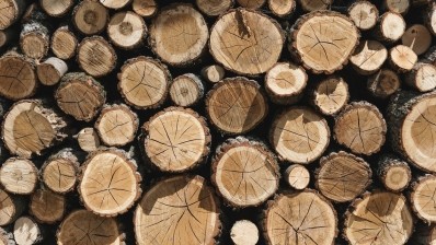 Photo by rawpixel.com from Pexels